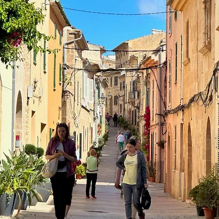 Alzines By Vintage Travel Pollenca